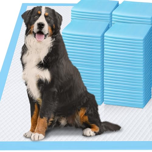 Gimars 4XL 36x36 Dog Pee Pads – 200 count, extra large absorbent pads
