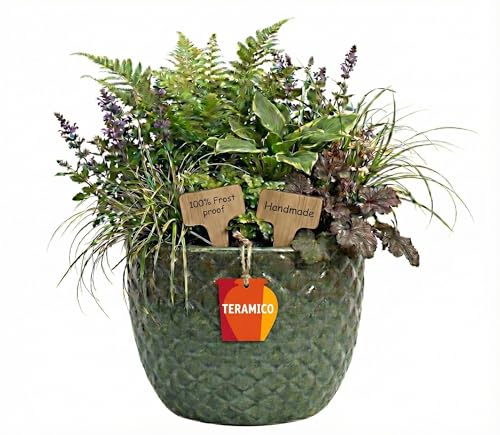 Teramico Macetero resistente a las heladas de gres premium, maceta de cerámica esmaltada en exclusiva estructura de burbujas 3D, duradera, resistente al invierno para jardín y terraza (musgo verde 30