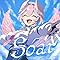 Soar ��䃋�C