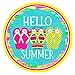 Retro Round Tin Sign 12 X 12 Inches Hello Summer Flip Flops Spring Summer Sign Wreath Sign Funny Wall Decor Nostalgic Arts Decor Waterproof Plate Decoration Novelty Decorative Crafts Home Decor Gifts