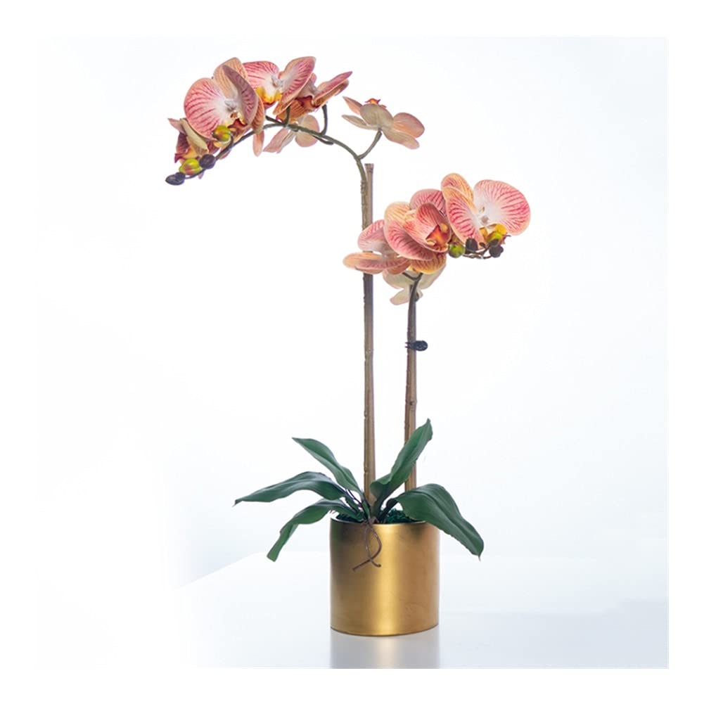 Sbziojhdr D Artificial Flowers, Ecor Artificial Flowers With Vase Phalaenopsis Orchi Bonsai Pu Fake With For Home Table Faux Flowersa(D)