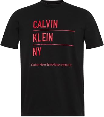 Calvin Klein SS 30S EU CALVIN KLEIN NY GRAPHI T-shirt Men
