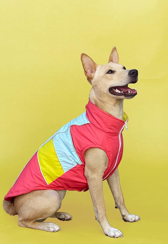 Pets Way Dog Winter Jacket, (Coral, S) Ultra Warm Winter Vest, Windproof and Lightweight, High Tummy Cut for Easy Pee Breaks, Recycled Polyester, Water-Resistant Finish Winter Wear (B0BLW539RK) Amazon Price History, Amazon Price Tracker
