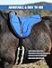 Tackmore Bareback Pad for Horses,Anti-Slip Bareback Saddle Pad with Thick Cushioning,Ergonomic Design for Comfortable Riding Champion Blue