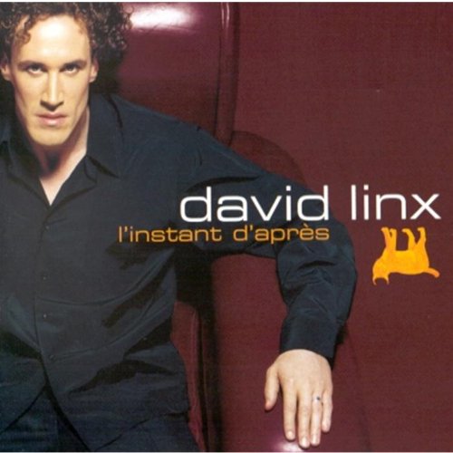 L'Instant D'Apres [Audio CD] Linx, David