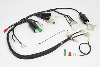 Amazon | SPタケガワ スーパーメインハーネスキット モンキー(12V)FI車