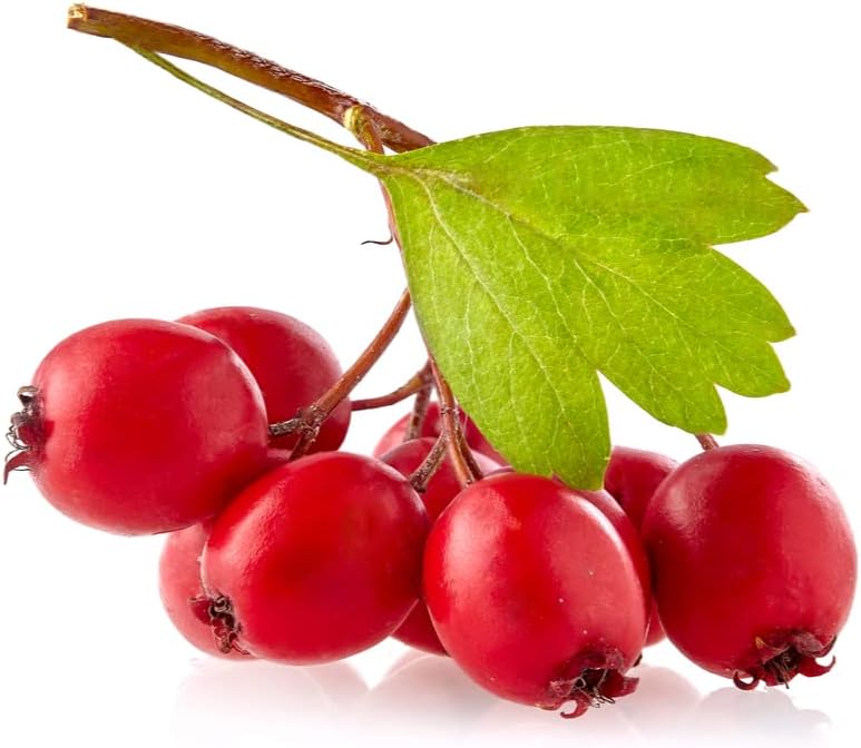 Hawthorn 60g x 2 Pack – Premium Dried Hawthorn | Natural Sweet & Tangy Snack for Digestion, Tea & Herbal Remedies