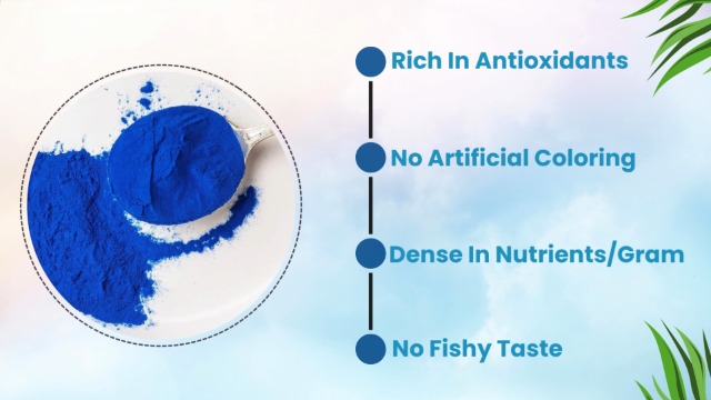 Amazon.com: AKI E18 Grade Blue Spirulina Powder Pack – Ultra Concentrated  Phycocyanin Superfood – Deep Blue, Vegan & Non-GMO – Ideal for Smoothies,  Ice Cream, Yogurt or Pastries – 1 oz/ 28.35g :