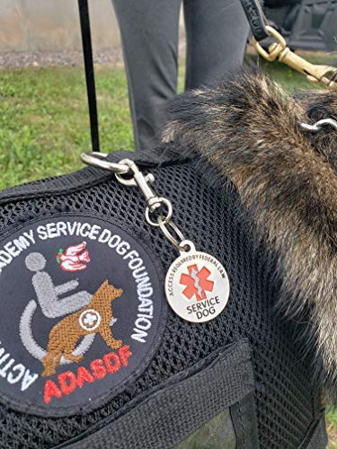 Activedogs.com Double Sided Service Dog Chrome Tag, Ada Access Required Federal Law Clip Tag W/ Red Medical Alert Symbol - 1.25" #TOP3