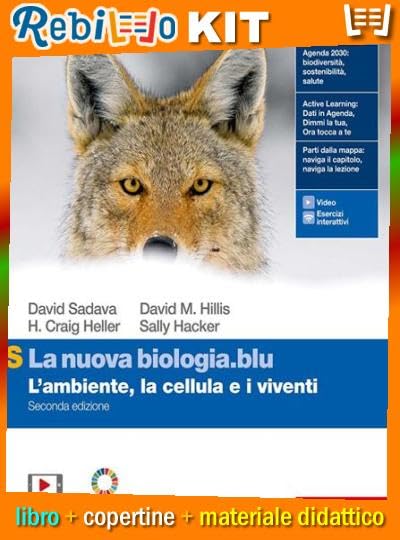 Kit Rebillo Premium composto da: Kit Rebillo Base, 1 Matita Noris HB, Gomma Pelikan, 3 Penne Pick Colourbook, 1 Correttore a Nastro Colourbook, Evidenziatore Pelikan, 1 Portadocumenti Colourbook Formato A4