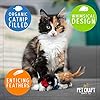 Pet Craft Supply Kitty Condor Crazy Catnip, Funny Cuddling Chasing Hunting Irresistible Stimulating Soft Plush Boredom Relief Interactive Cat Toy with Realistic Feathers, All Breed Sizes (Pack of 2) #1