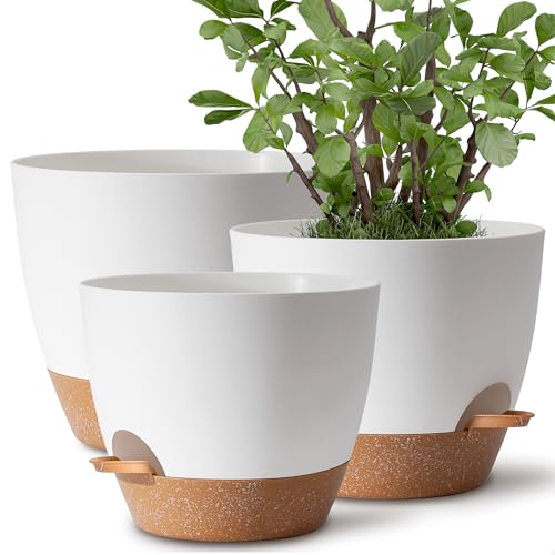 Comparison: Best Pot For Peace Lily 10 TYMENSH Plant Pots 12/10/9 inch Set of 3, Self Watering Flower Pots Indoor Outdoor, Planters with Drainage Hole Saucer Reservoir, White