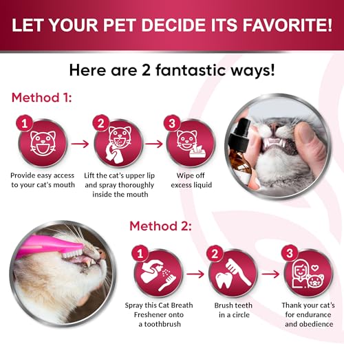 Cat Dental Care | Cat Breath Freshener | Dental Spray | All Breeds Mouth Cleaner | Spray for Bad Breath | Teeth & Mouth Cleaner | 4 oz