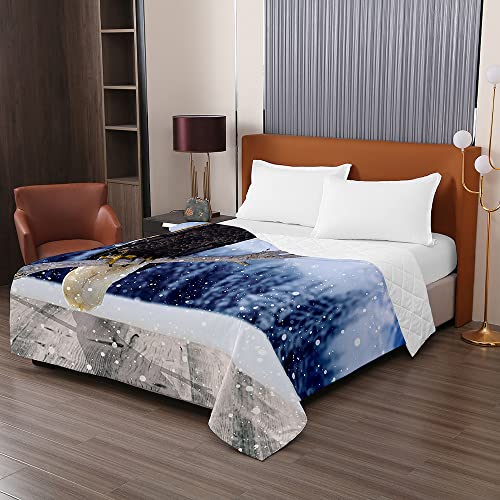 Odot Colcha Bouti de Verano, 3D águila Estampado Suave Microfibra Multiusos Cubrecama Lavable Acolchada Edredón Manta para Cama de Infantil Individual Matrimonio (200x230cm,nieve1)