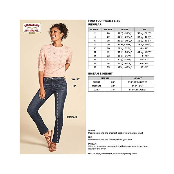 Signature by Levi Strauss & Co Women's Straight Jeans (Available in Plus Size), Cosmos, 10 Medium