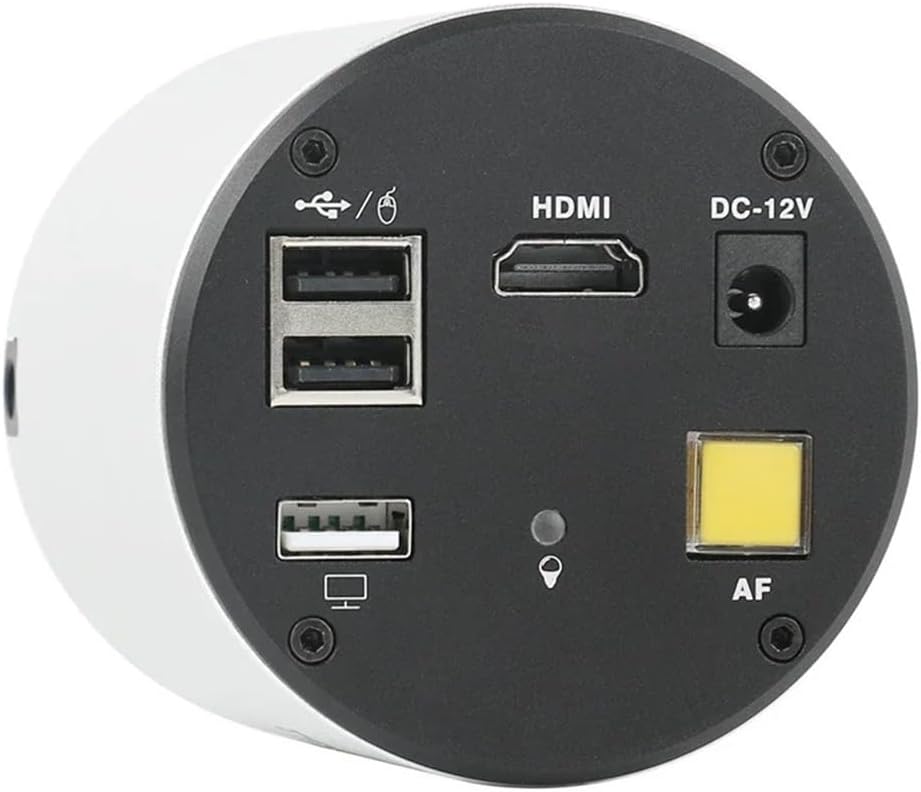 https://m.media-amazon.com/images/I/51WCcP7vInL._AC_SL1000_.jpg?Gpvlt7B54O8