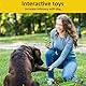 BNWRRCVKE Hundespielzeug Set, 15 Pcs Seil Ball Hunde robuste Zähne Kauen langlebig Spielzeug Zahntraining Set Für Kleine mittelgroßen Hund Interaktives Hundespielzeug zum Zähneputzen Unzerstoerbar