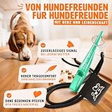 ENERO® Hundepfeife mit praktischem Umhängeband - Perfektes Hundezubehör mit genormter Frequenz - Ideal für Hundetraining - hörbar & weitreichend (Türkis)