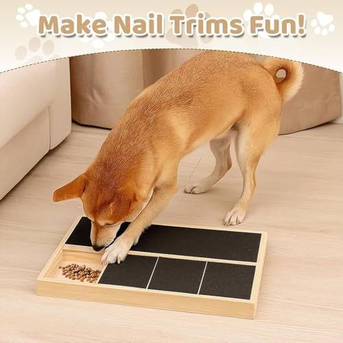 Planche à gratter avec tiroir à friandises : lime pour chien et chiot sensible