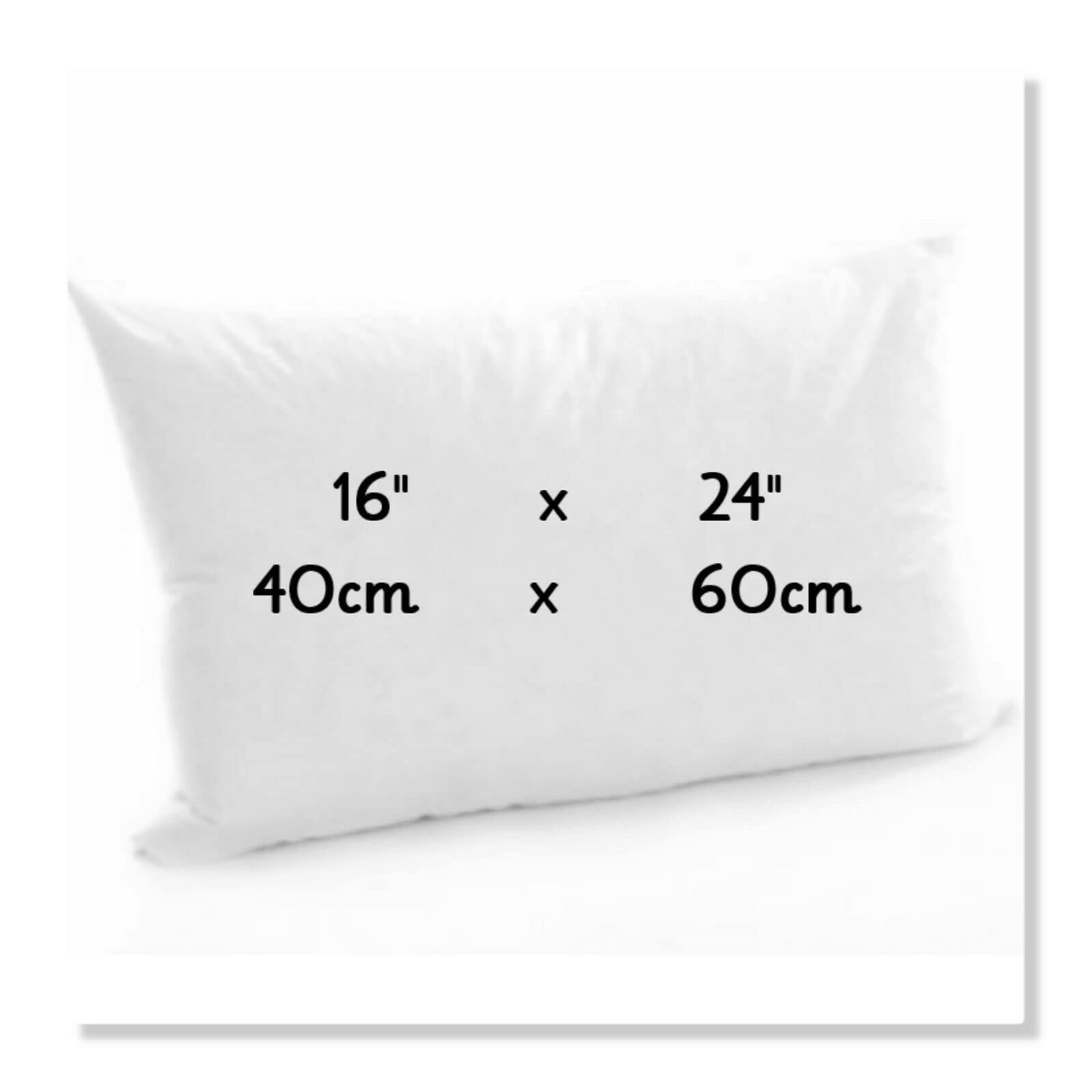 Arlinens White Soft Bouncy Rectangle Oblong Hollow Fibre Plump Scatter Pillows-Double Stitched Edges-Inners Inserts Fillers Pads For Sofa Bed & Couch (2, 16X24)