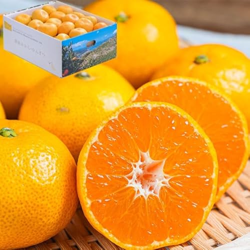 Ε Mtg Q ݂iFa݂j Gi 10kg FaYil݂jbFanElsŶ݂  ~JbQY  ʕ t[c  NX}X L_  N