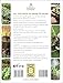 The Old Farmer's Almanac Vegetable Gardener’s Handbook (Gardener's Handbooks, 1)