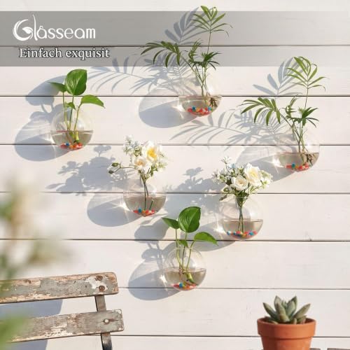 Glasseam Hängende Blumenkästen aus Glas, 6 Stück, kugelförmig, Blumentöpfe, Terrarium, Behälter mit 6,36 Oz, Bunte Steine… – Ansicht 7