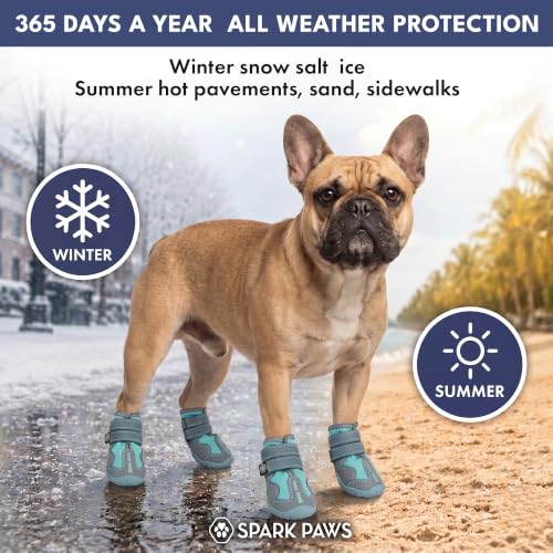 Image of Spark Paws 365 Dog Shoes - All-Weather Paw Protection | Winter Snow Boots & Summer Hot Pavement Booties for Dogs | All-Terrain, Water-Resistant, Teal - Size 1