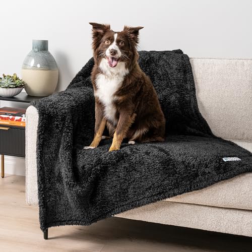 Image of PetAmi Dog Blanket for Small Medium Dogs, Black Fluffy Soft Sherpa Fleece for Puppy, Kitten, Doggie - Calming Pet Throw for Couch, Sofa, Bed - Washable, Medium 29x40