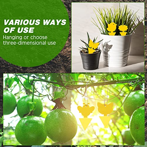 Qualirey 400 Pieces Fruit Fly Traps Sticky Fungus Gnat Trap Plant Insect Catching Trap, Odorless Sticky Traps Killer For Indoor Outdoor Kitchen Plants, Yellow #TOP6