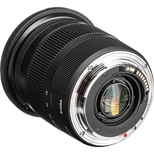Sigma 24-70mm f/2.8 lens