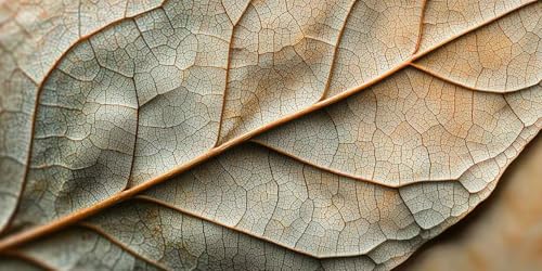 5D Diamond Painting Texture des feuilles : Idée Cadeau AntiStress
