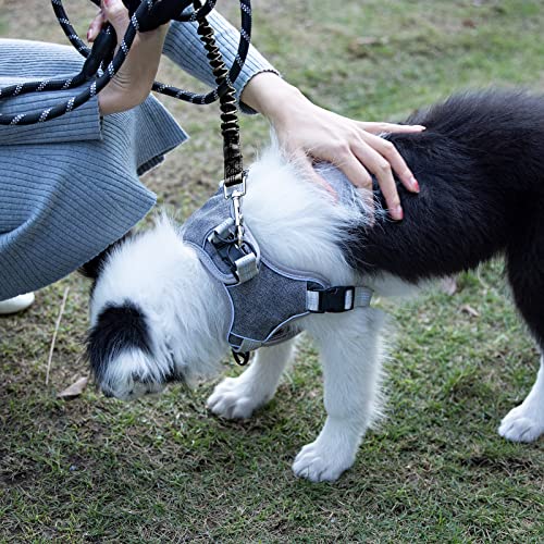 Yangbaga Ruckdämpfer,hundefreundliche Leine, elastische Hunde Leine mit Zugdämpfung, Nylon-Kurzleine Perfekte Dämpfung beim Fahrrad für Hunde ab Kleiner Größe Schwarz (2 * 26cm)