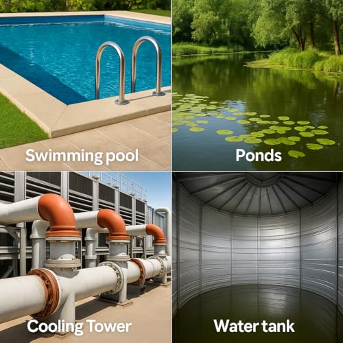 Image of Heavy Duty Algaecide | Chlorine Free | Safe on Skin & Eyes | removes Algae 100% Effectively | use for Swimming Pool, Ponds, Cooling Tower, Cold Storage, Fish Tank.