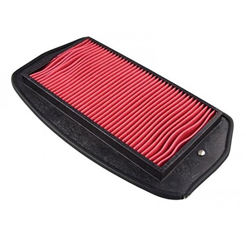 Filtre À Air Hiflofiltro Hfa4612 Yamaha Fz6 Fazer
