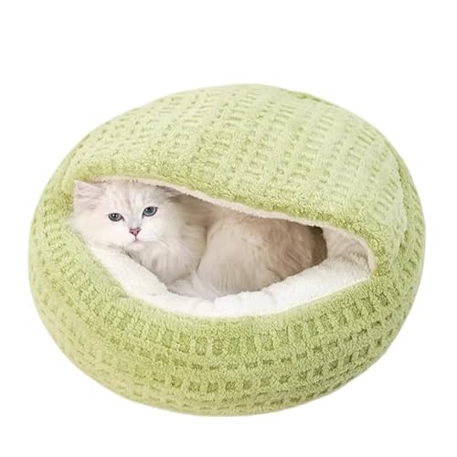 Lxbh ^ Lk^ ybgnEX ~p ۉ h  ӂӂ ѕzf   _e ~ߖh Lp 􂦂 p (?F,L?60cm)