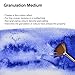 Winsor & Newton Watercolor Medium, Granulation Medium, 75ml (2.5-oz) bottle