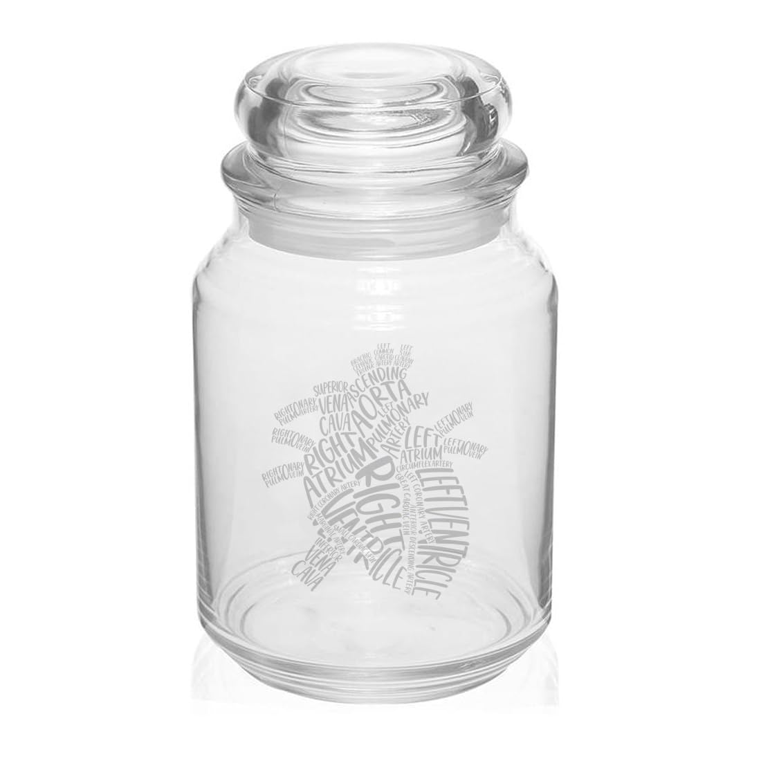 Amazon.com: 26 oz Glass Candy Jar Gift Heart Anatomy Anatomical