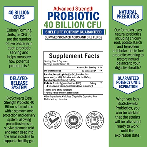 Probiotic-40-Billion-CFU-Probiotics-for-Women-Men-Lactobacillus-Acidophilus-Prebiotics-Digestive-Health-Capsules-Targeted-Release-Technology-Shelf-Stable-Supplement-Non-GMO-60-Count