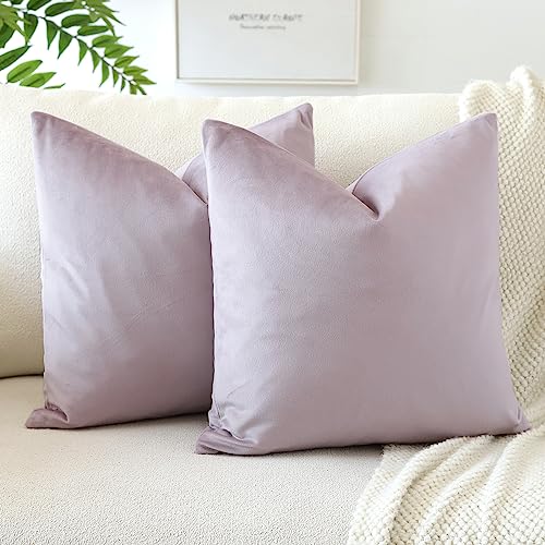 JOTOM Lot de 2 Housses de Coussins en Velours Décoratif Canapé Taie d'oreiller Doux Decoration...