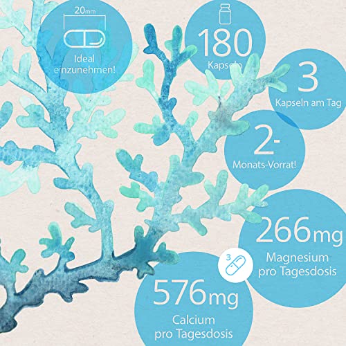 Sango Meereskoralle Kapseln von Effective Nature – 180 Stück
