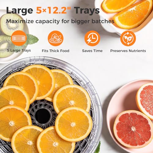 OSTBA Food Dehydrator, 5 BPA-Free 12.2\" Trays, Adjustable Temp 95–160℉, 48H Timer, 420W Food Dryer for Fruits, Veggies, Jerky, Herbs, Home Use, BPA-Free