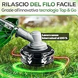 Heckenpracht B0DN6XKF1S lato 4