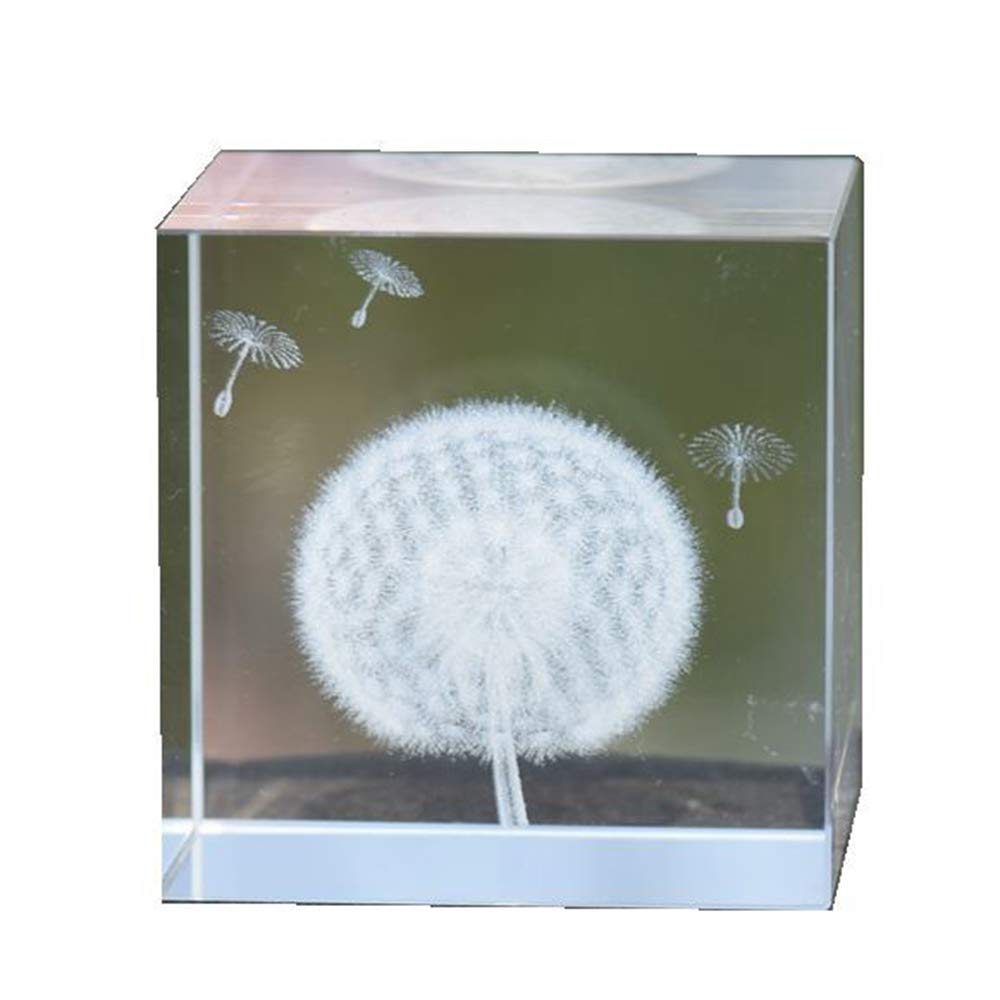 Sjdopulse Dandelion Embedded Specimen - Plant Resin Specimen Dandelion Cube Crystal Paperweight - 3D Dandelion Specimen Model Paperweight Taxidermy For Science Educational