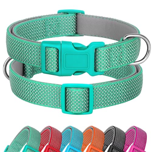Didog Reflektierendes Hundehalsband mit Schnalle, verstellbar, weiches Neopren, gepolstert, Nylon, Haustierhalsbänder für kleine, mittelgroße und große Hunde, Grün, S