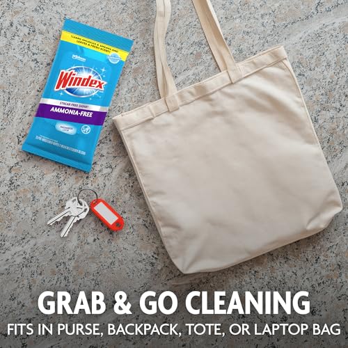 Image of Windex Wipes Glass Cleaning Ammonia Free, Pre-Moistened Wipes for Cleaning All Glass Surfaces, Crystal Rain Fresh Scent, 25 Count (Pack of 12)