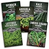 Survival Garden Seeds 5 Greens Collection Seed Vault – Grow Non-GMO Heirloom Green Leafy Vegetables – Viroflay Spinach, Arugula, Lacinato Kale, Salad Bowl Lettuce & Rainbow Swiss Chard Seed