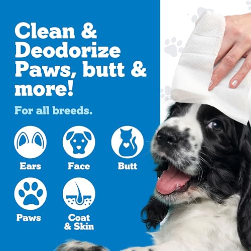 Nuesta Pets XL Hypoallergenic Pet Wipes - Deodorizing No Bath Cleaning for Dogs & Puppy Grooming | Ear, Face, Butt, Paw Wet Wipe | Enriched w/Aloe, Chamomile, Oat Amino Acids | Healthier Coat & Skin - Thumbnail 2