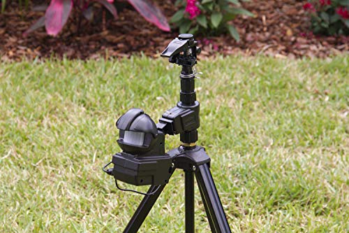 Orbit 62120 Garden Enforcer Motion Activated Sprinkler , Black #TOP6