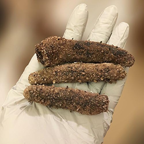 GOLDENSEA- Natural Sun Dried Alaska Red Sea Cucumber,金海堂-野生淡干海参,阿拉斯加野生红刺参(Small Size) 1lb, Grade AAAA